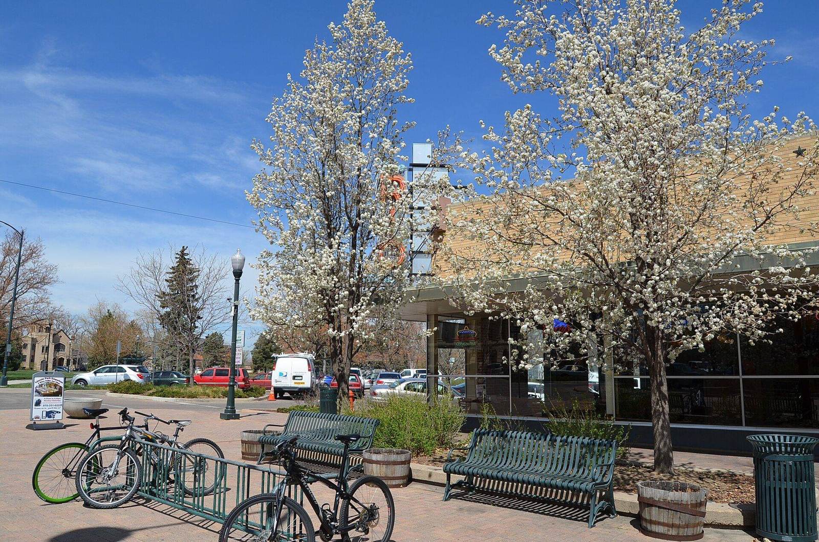 Greeley
